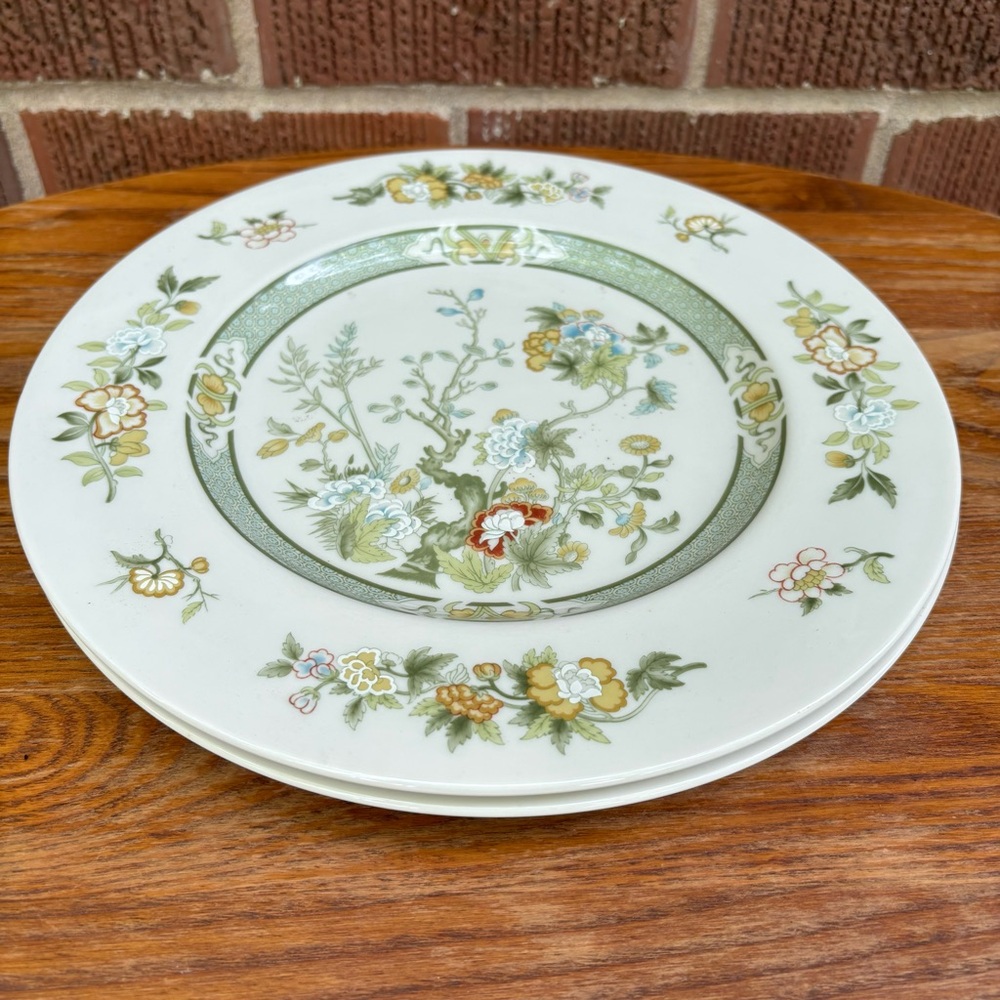 Royal Doulton Stunning TONKIN TC 1107 Dinner Plates 10.5" Wide Set of 2 Vtg